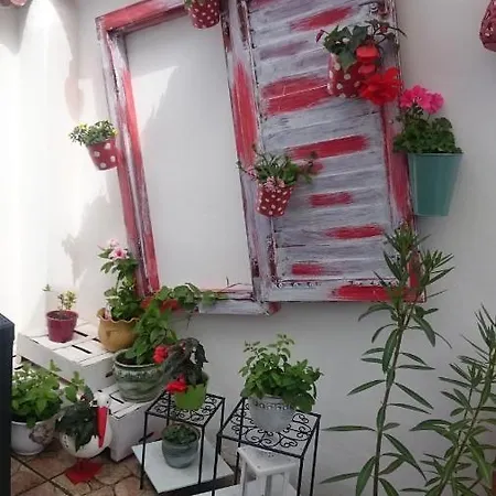 Apartment Vendeg Kucko *